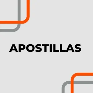 SERVICIOS AMES -APOSTILLAS